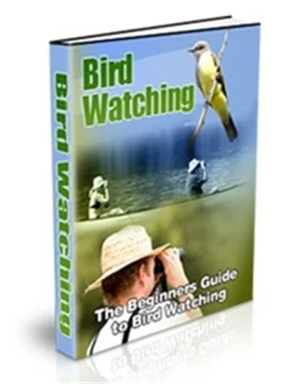 Bird Watching