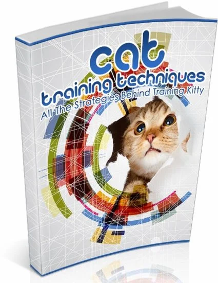 Cat Training Techniques